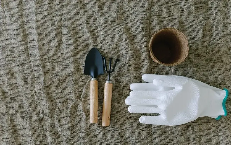 7 Reasons Why Gardening Tools Are Important