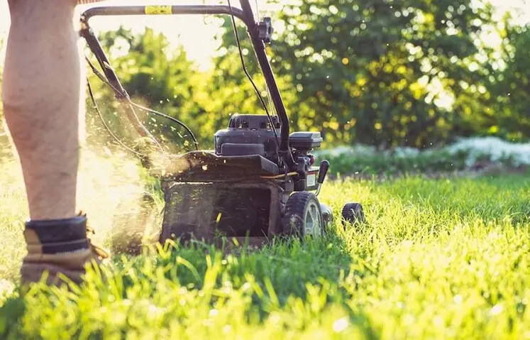 How to Choose the Best Lawn Mower Machine in Australia