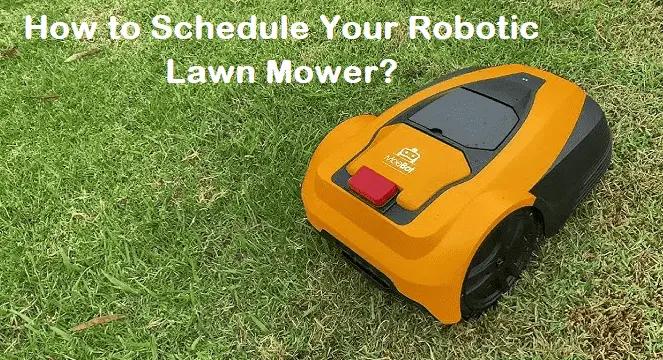 How to Schedule Your Robotic Lawn Mower