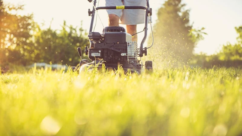 What Time Can I Mow My Lawn in Victoria