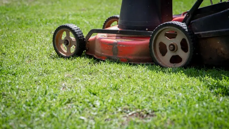 How to Cut Grass with a Lawn Mower – A Simple Guide for a Perfect Lawn